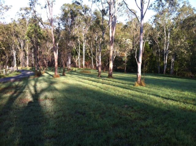 2103 Nowendoc Road, WINGHAM NSW 2429, Wingham - Thumbnail 8