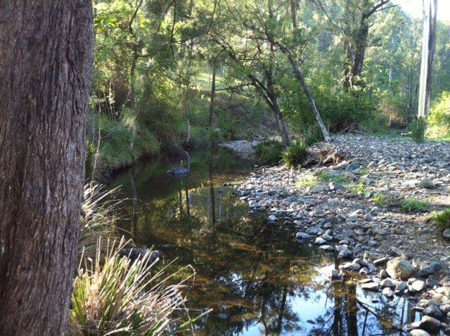 2103 Nowendoc Road, WINGHAM NSW 2429, Wingham - Thumbnail 3