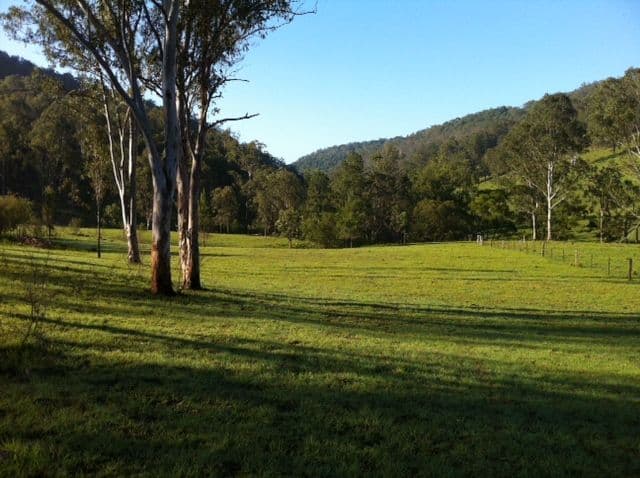 2103 Nowendoc Road, WINGHAM NSW 2429, Wingham - Thumbnail 7