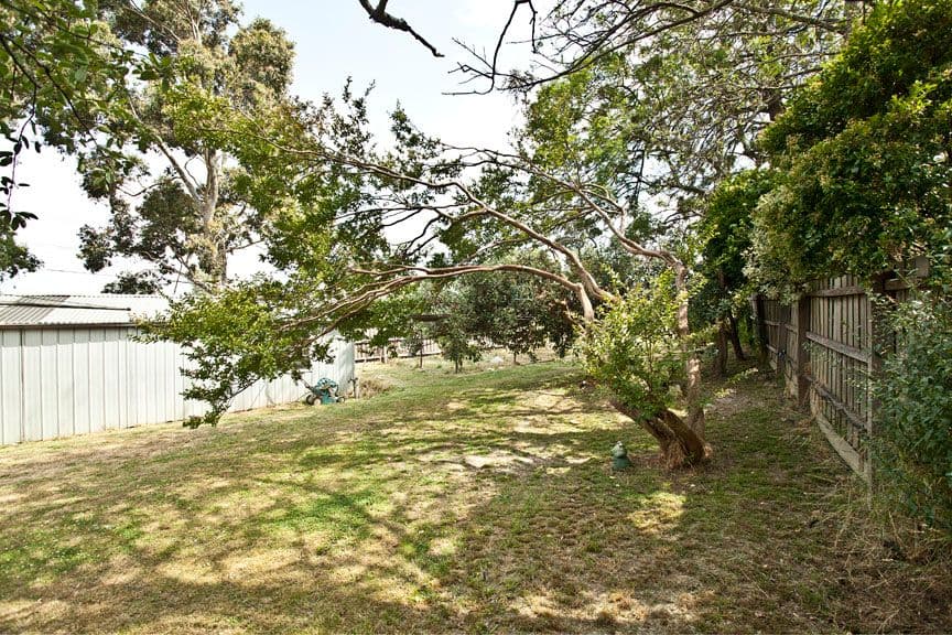 297 Canterbury Road, FOREST HILL VIC 3131, Forest Hill - Thumbnail 4