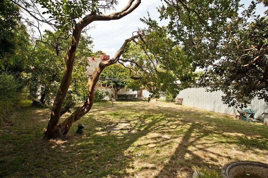 297 Canterbury Road, FOREST HILL VIC 3131, Forest Hill - Thumbnail 5