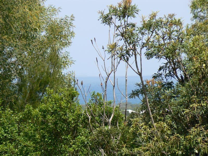 22 Berry Court, MOUNT COOLUM QLD 4573, Mount Coolum - Image 1