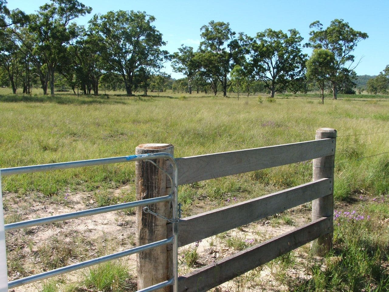 Lot 7 Montrose Lane, GREYMARE QLD 4370, Greymare - Image 1