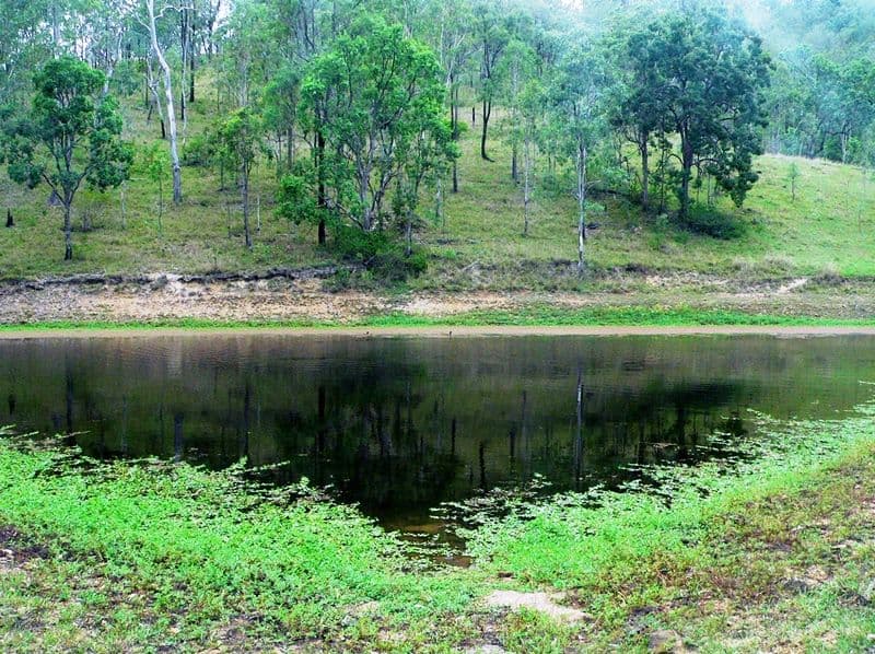 Lot 6 Possum Bush Road, MOORE QLD 4314, Moore - Thumbnail 2