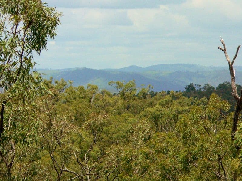 Lot 6 Possum Bush Road, MOORE QLD 4314, Moore - Thumbnail 4