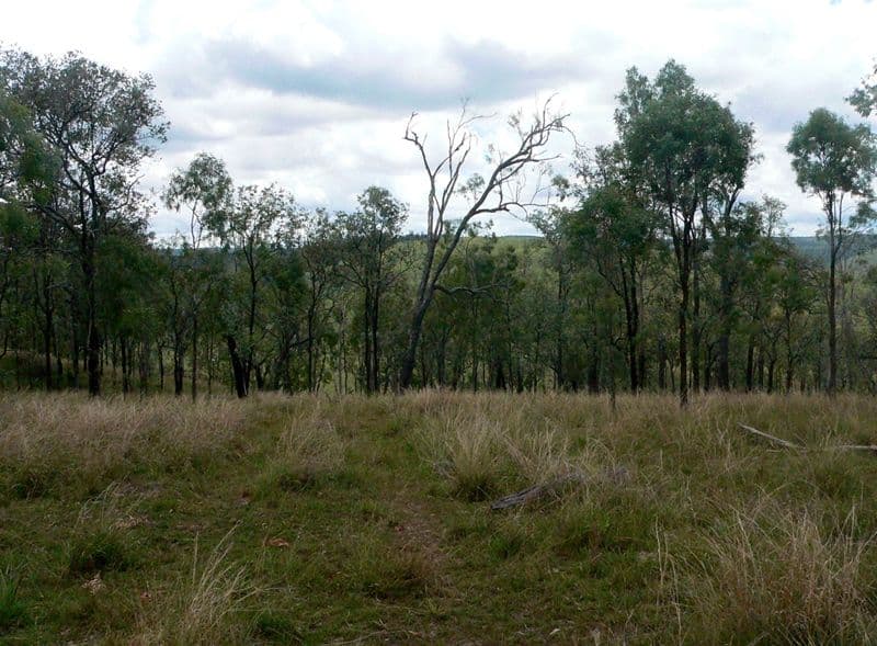 Lot 6 Possum Bush Road, MOORE QLD 4314, Moore - Thumbnail 5