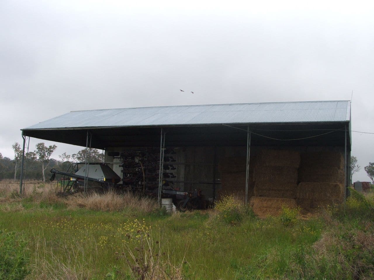 Lot 7 Warwick Killarney Road, MURRAYS BRIDGE QLD 4370, Murrays Bridge - Thumbnail 6