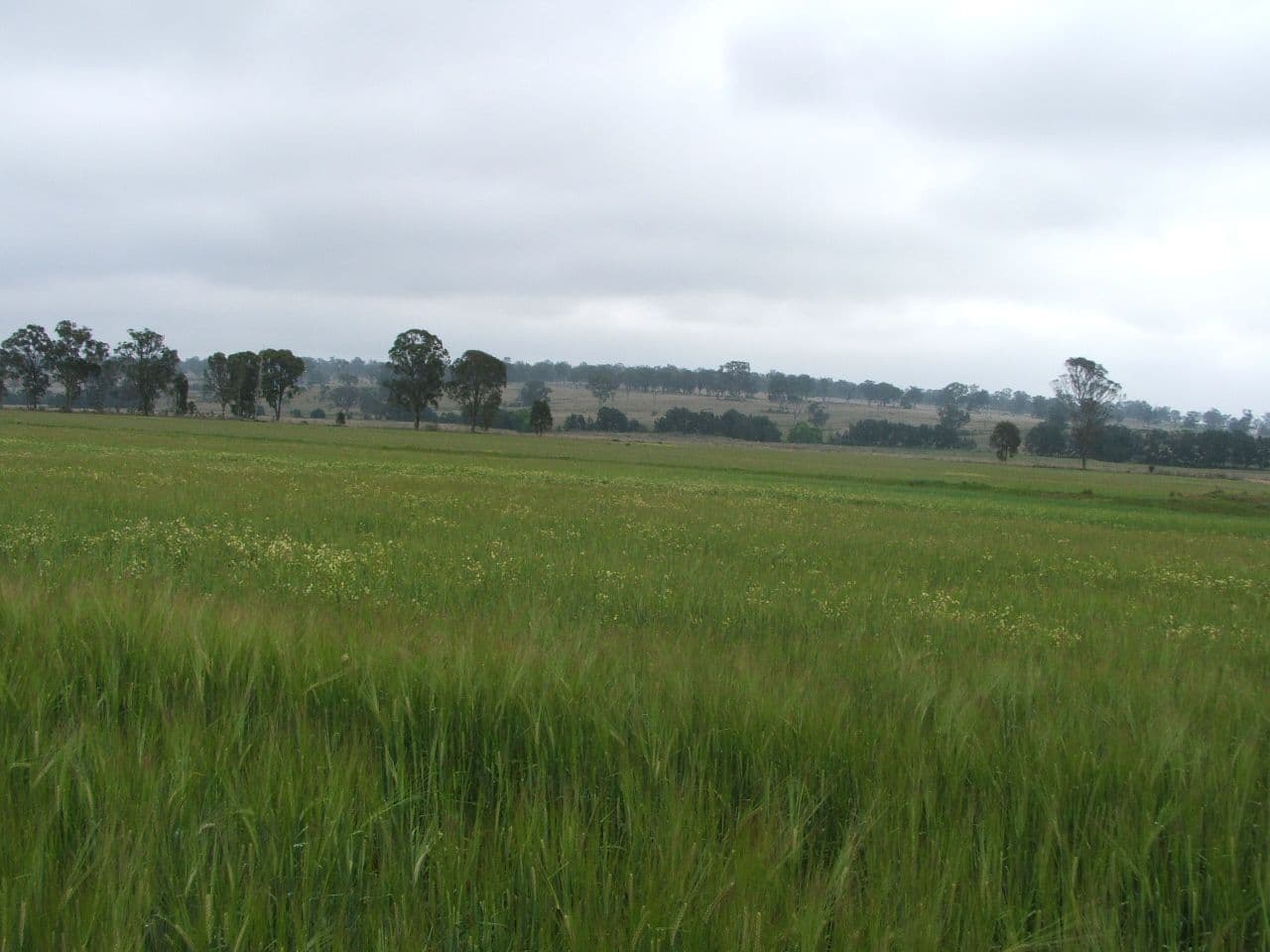 Lot 7 Warwick Killarney Road, MURRAYS BRIDGE QLD 4370, Murrays Bridge - Thumbnail 3