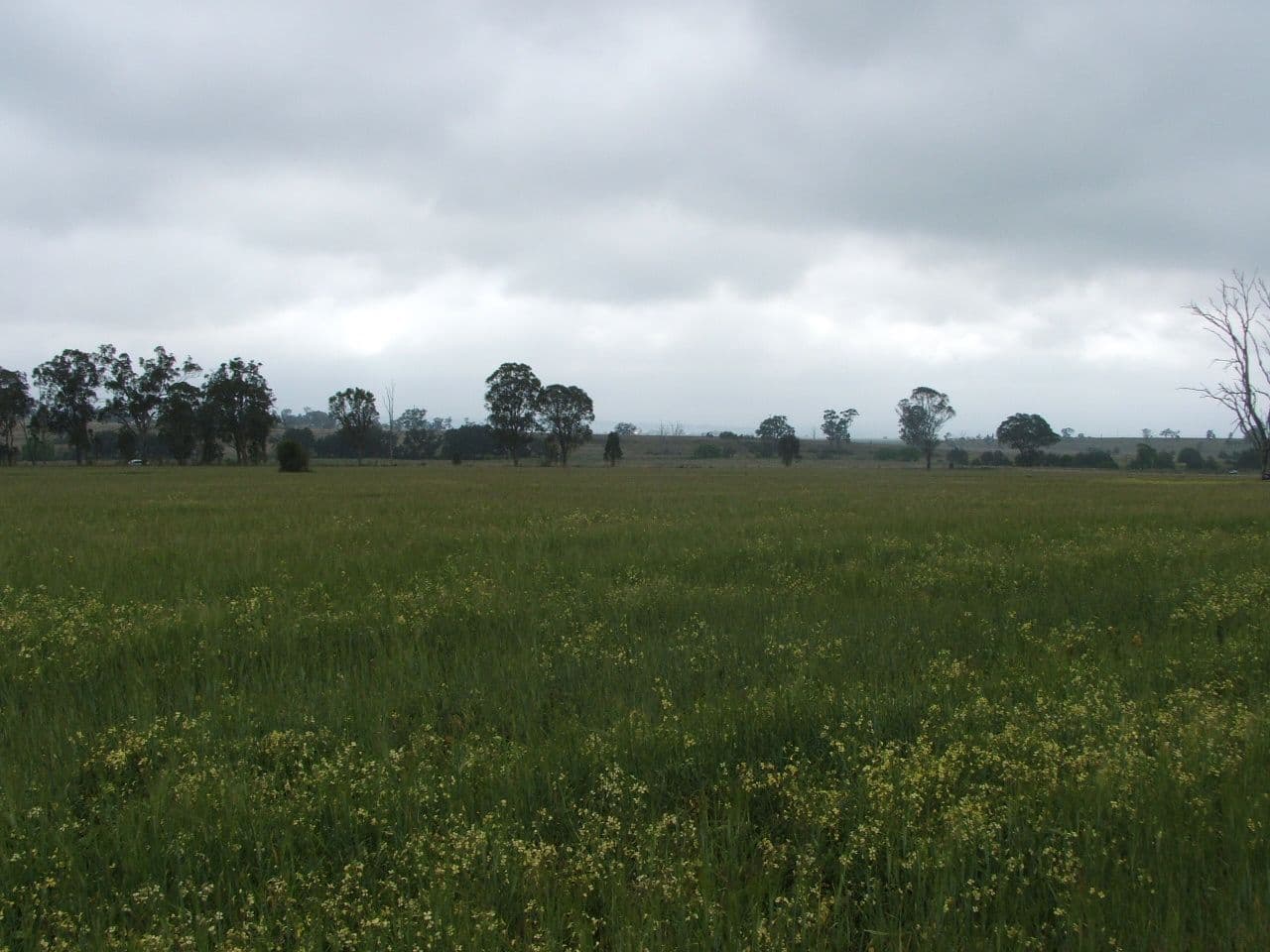 Lot 7 Warwick Killarney Road, MURRAYS BRIDGE QLD 4370, Murrays Bridge - Thumbnail 7
