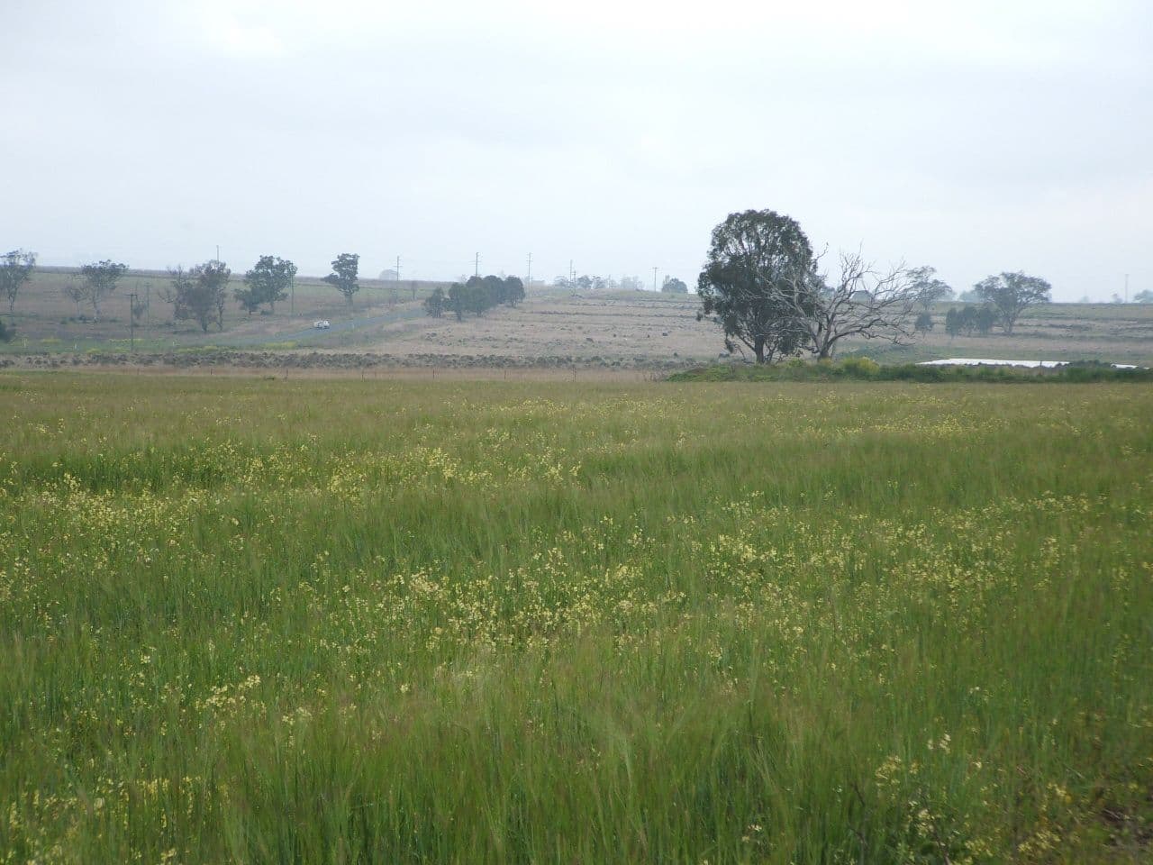 Lot 7 Warwick Killarney Road, MURRAYS BRIDGE QLD 4370, Murrays Bridge - Image 1