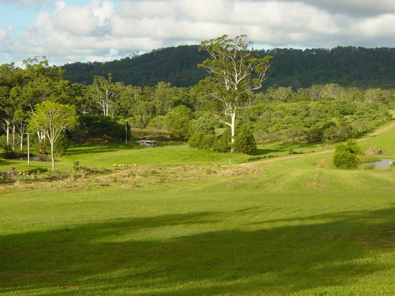 WOLVI QLD 4570, Wolvi - Thumbnail 2