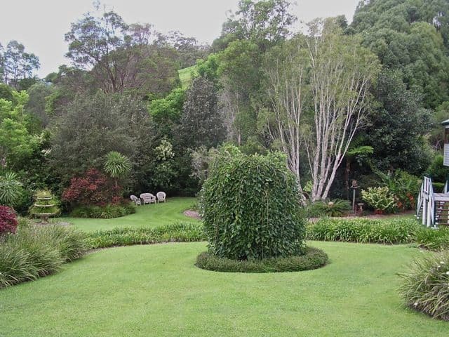 33 Eva Crescent, PIGGABEEN NSW 2486, Piggabeen - Thumbnail 3