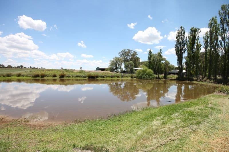 377 Burgmanns Lane, TAMWORTH NSW 2340, Tamworth - Thumbnail 5