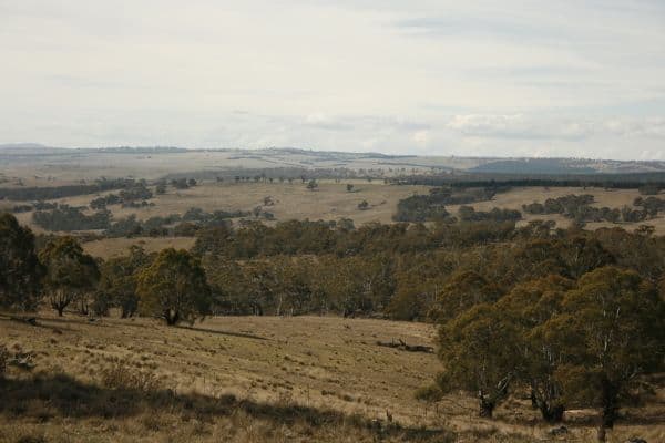 BOMBALA NSW 2632, Bombala - Thumbnail 8