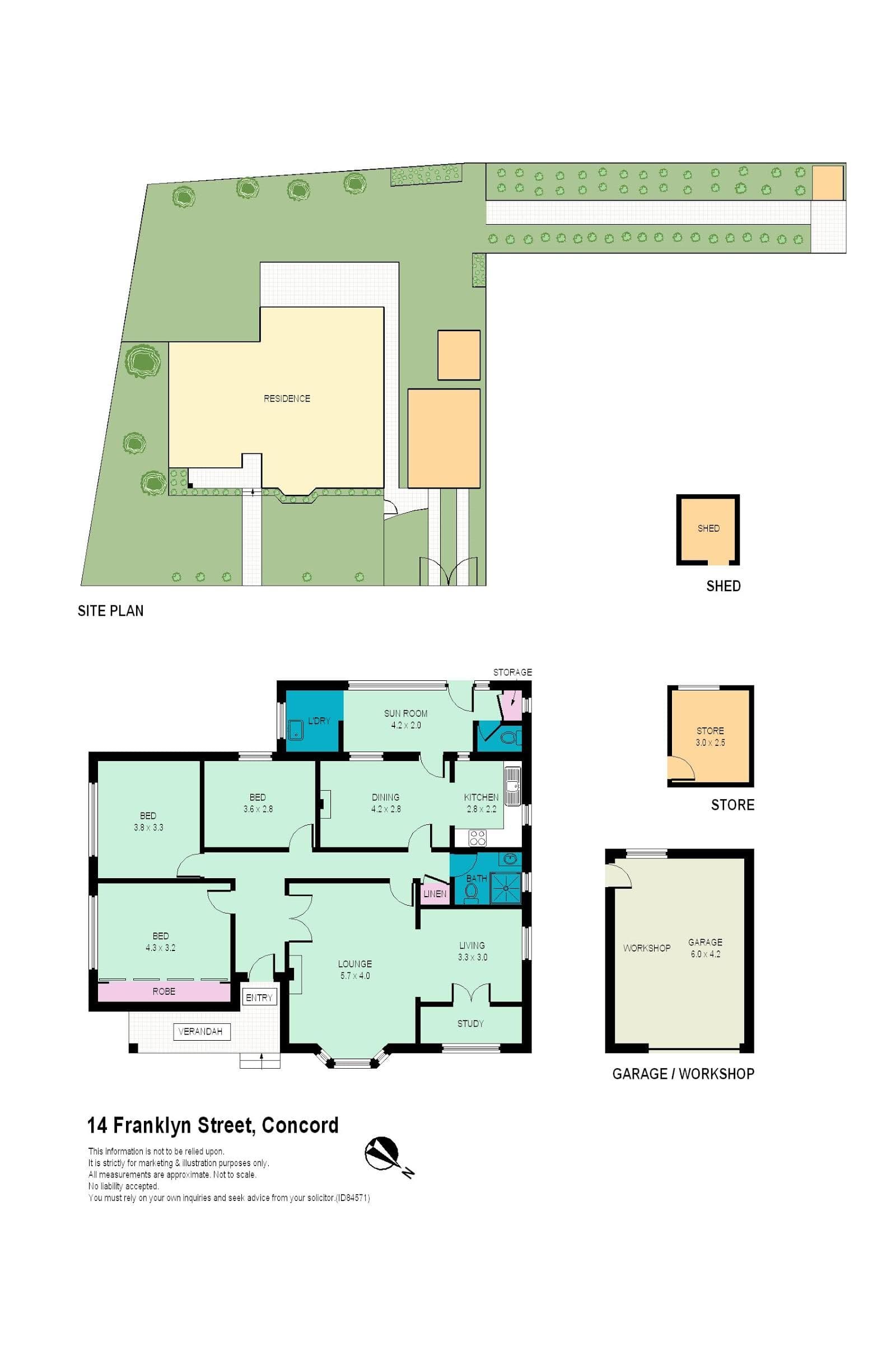 14 Franklyn Street, CONCORD NSW 2137, Concord - Thumbnail 6
