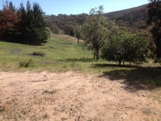 294 Blue Mantle Road, WYANGALA NSW 2808, Wyangala - Thumbnail 3