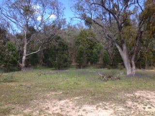294 Blue Mantle Road, WYANGALA NSW 2808, Wyangala - Image 1