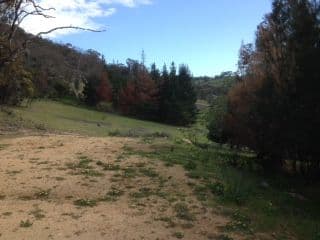 294 Blue Mantle Road, WYANGALA NSW 2808, Wyangala - Thumbnail 4