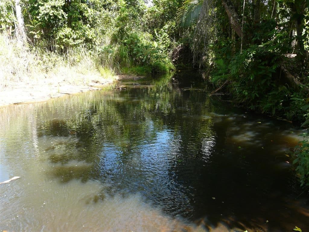 Lot 1 Meuanbah, BOMBEETA QLD 4871, Bombeeta - Thumbnail 2