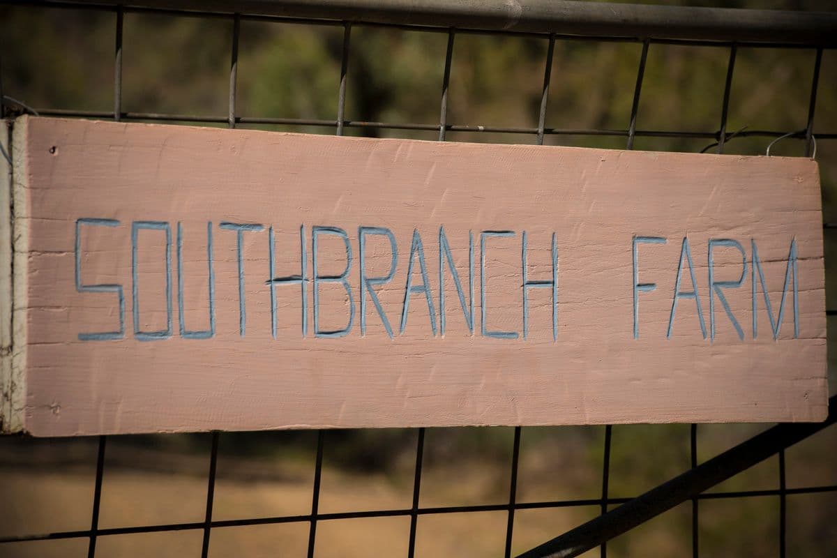 Southbranch Farm, MARYVALE QLD 4370, Maryvale - Thumbnail 2