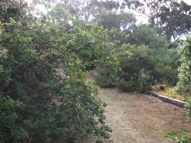 143 Second Avenue, KENDENUP WA 6323, Kendenup - Thumbnail 8