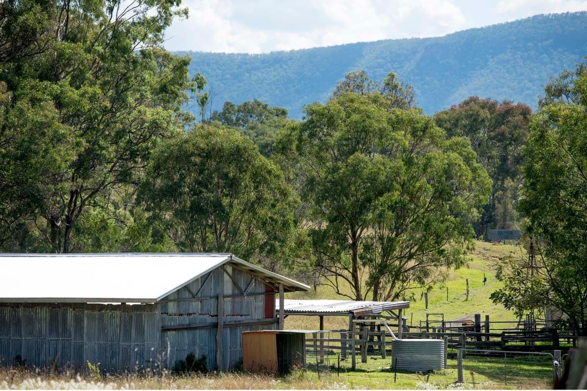 Southbranch Farm, MARYVALE QLD 4370, Maryvale - Thumbnail 4