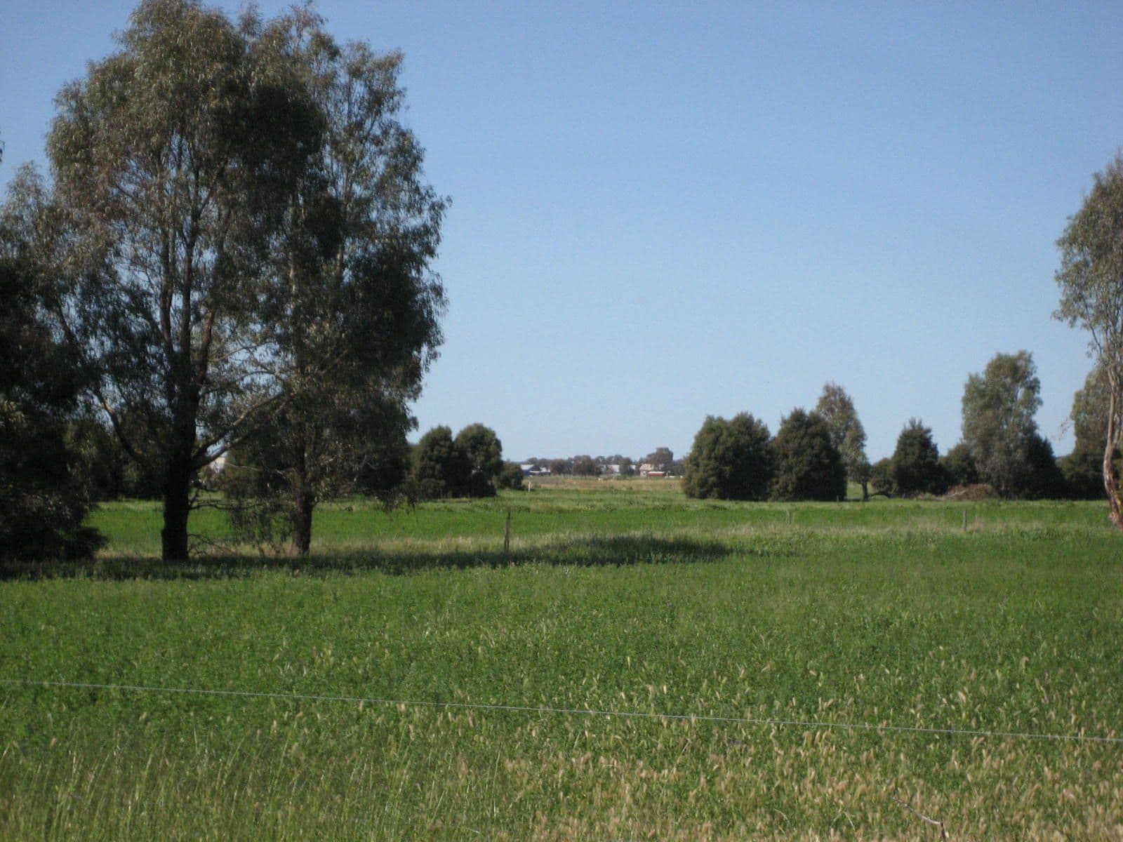 40 Thomas Road, TANDARRA VIC 3571, Tandarra - Thumbnail 5