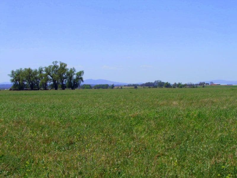 609 Hambledon Hill Road, SINGLETON NSW 2330, Singleton - Thumbnail 4