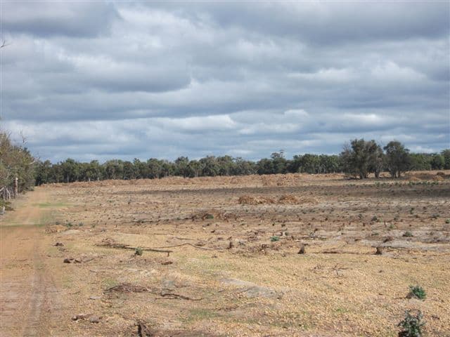 202 Parsons Road, CRANBROOK WA 6321, Cranbrook - Thumbnail 4