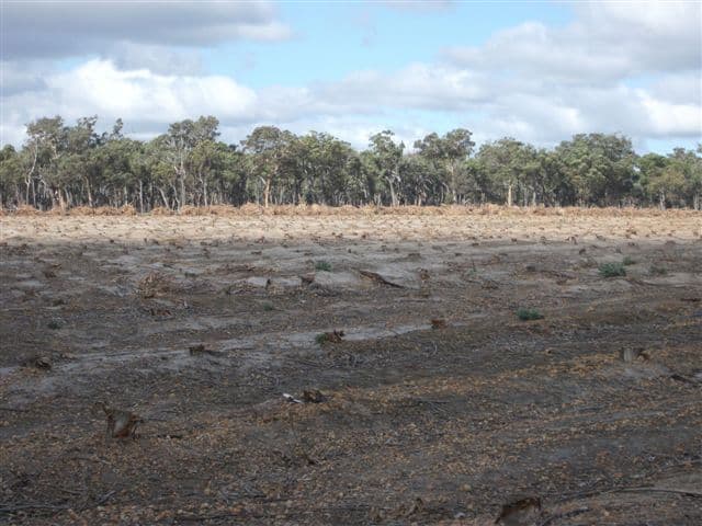 202 Parsons Road, CRANBROOK WA 6321, Cranbrook - Thumbnail 5