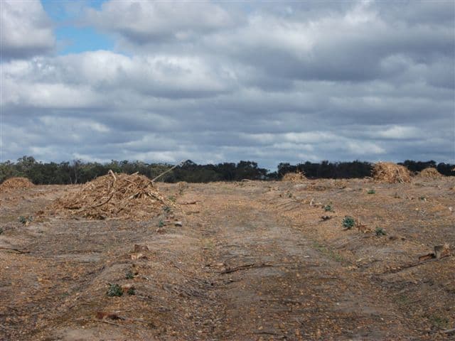 202 Parsons Road, CRANBROOK WA 6321, Cranbrook - Thumbnail 6