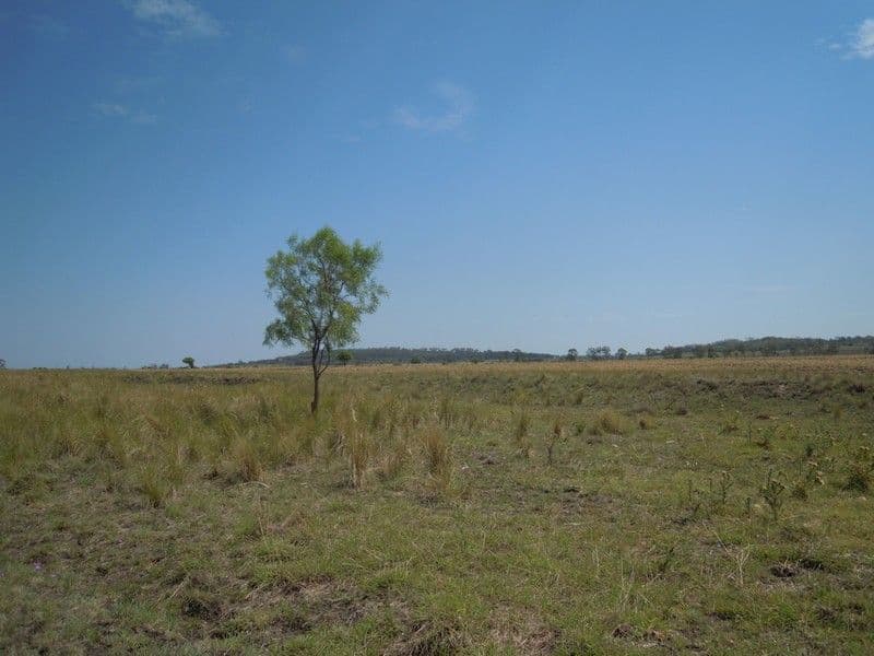 0 Kincora Road, PITTSWORTH QLD 4356, Pittsworth - Thumbnail 6