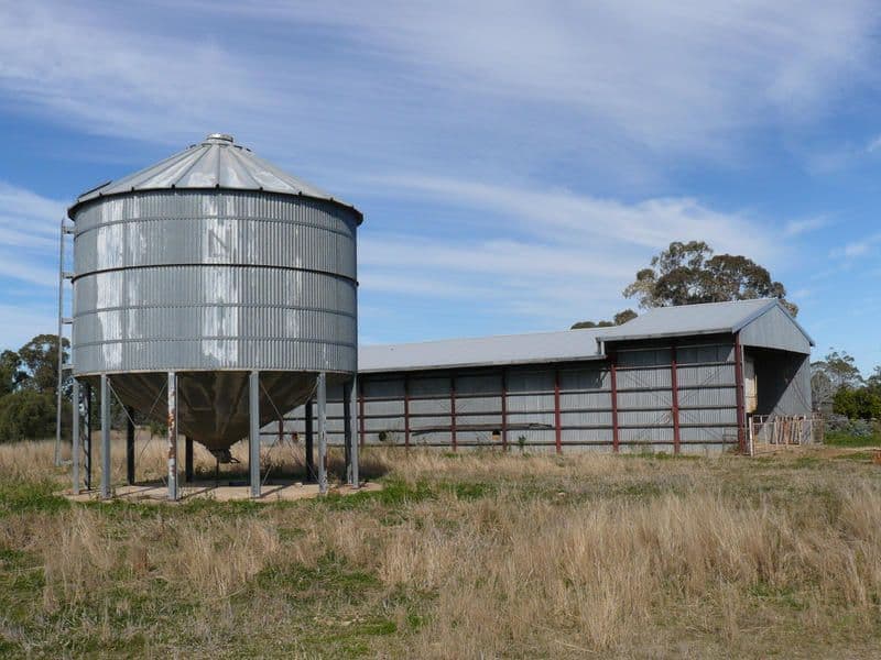 " Wilga Park ", Pallamallawa NSW 2399, Pallamallawa - Thumbnail 5