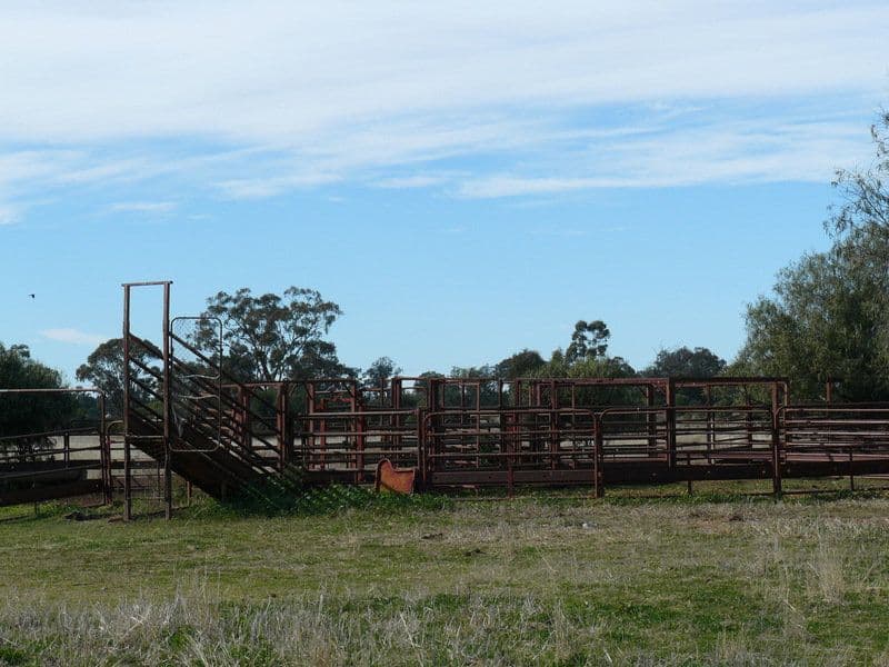 " Wilga Park ", Pallamallawa NSW 2399, Pallamallawa - Thumbnail 6