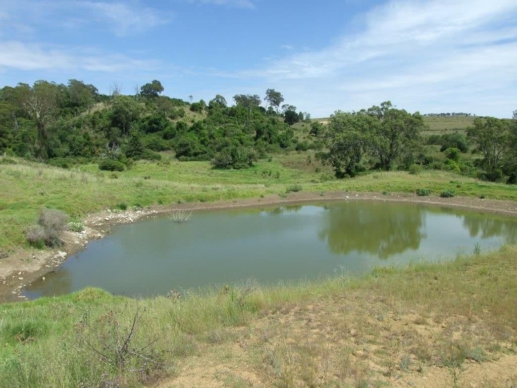 20 Mann Road, HADEN QLD 4353, Haden - Thumbnail 3