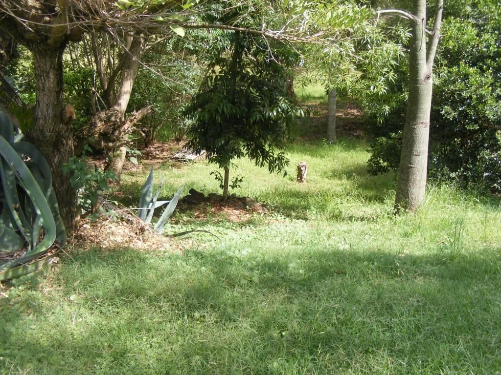 40 Drayton Street, NANANGO QLD 4615, Nanango - Thumbnail 3