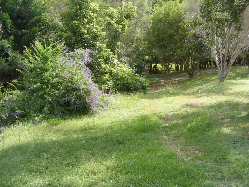 40 Drayton Street, NANANGO QLD 4615, Nanango - Thumbnail 4