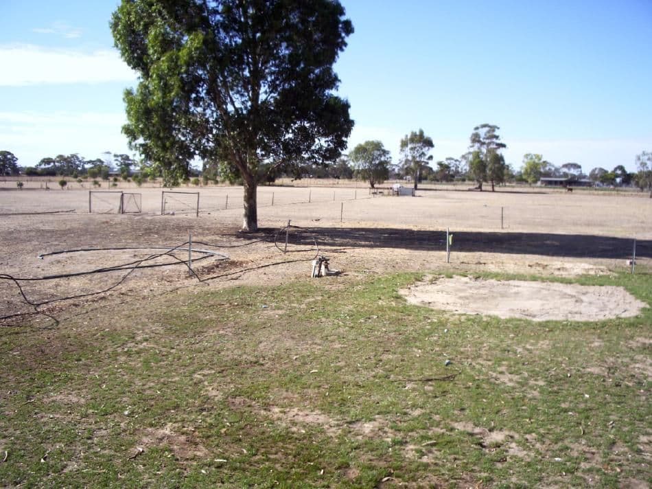 114 Hilliers Road, MUNDULLA SA 5270, Mundulla - Thumbnail 6