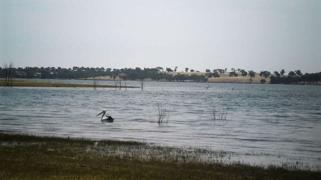 CA 1C Lot 2 Speedboat Road, DERRINAL VIC 3523, Derrinal - Thumbnail 4