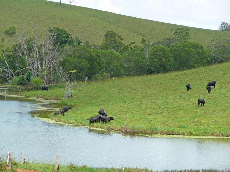 UPPER BARRON QLD 4883, Upper Barron - Thumbnail 2