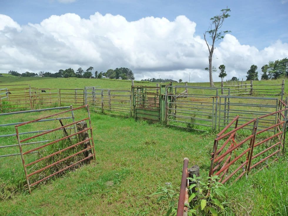 UPPER BARRON QLD 4883, Upper Barron - Thumbnail 4