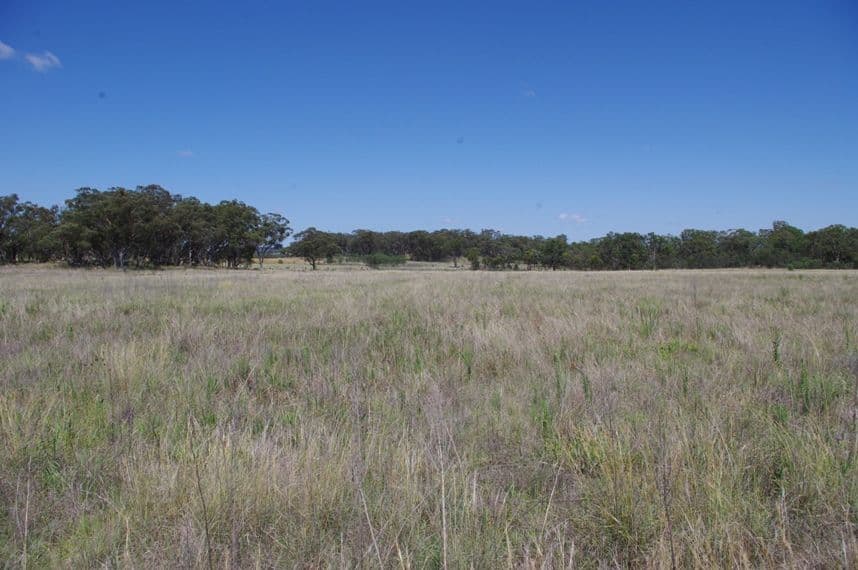495 Mount Russell Road, INVERELL NSW 2360, Inverell - Image 1
