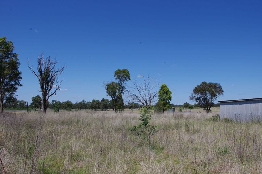 495 Mount Russell Road, INVERELL NSW 2360, Inverell - Thumbnail 4