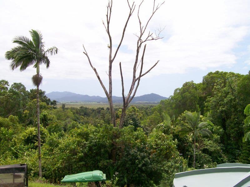 EUBENANGEE QLD 4860, Eubenangee - Thumbnail 5