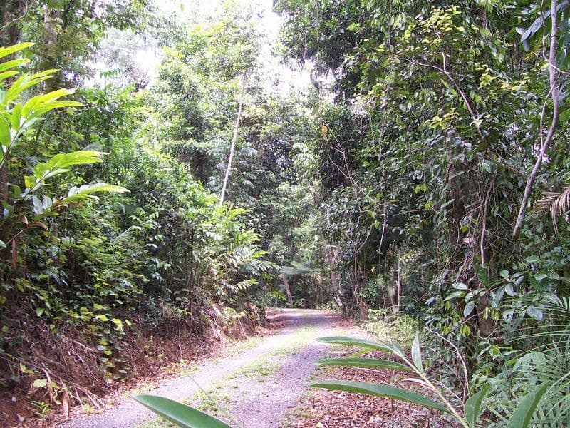 EUBENANGEE QLD 4860, Eubenangee - Thumbnail 7