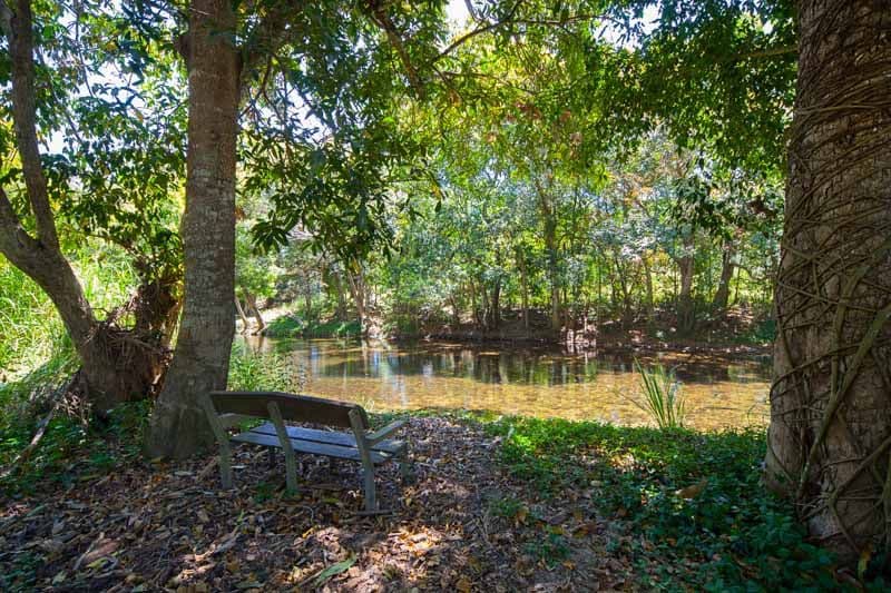 24-26 Appaloosa Street, GORDONVALE QLD 4865, Gordonvale - Thumbnail 4