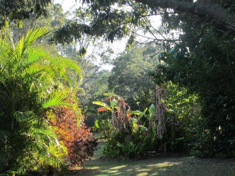 69 Rogers Street, BEACHMERE QLD 4510, Beachmere - Thumbnail 3
