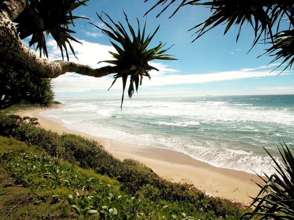 111 Coral Street, CORINDI BEACH NSW 2456, Corindi Beach - Thumbnail 6