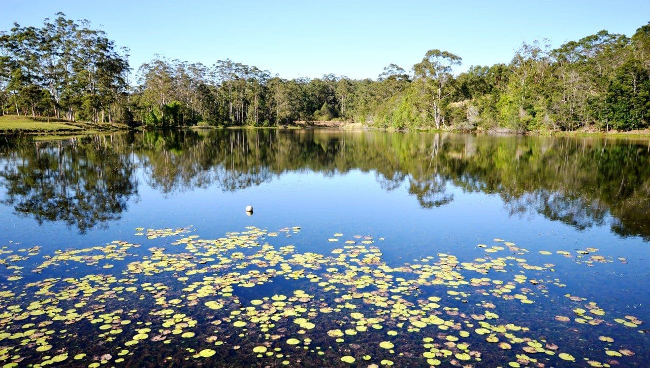 1041 Bucca Road, COFFS HARBOUR NSW 2450, Coffs Harbour - Thumbnail 2