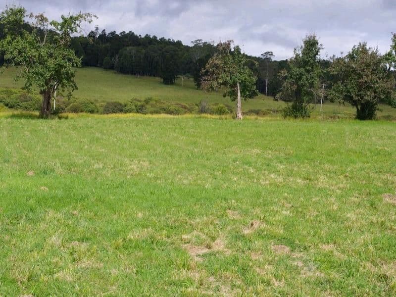 Lot 1 Cavanagh Road, LOWANNA NSW 2450, Lowanna - Thumbnail 4